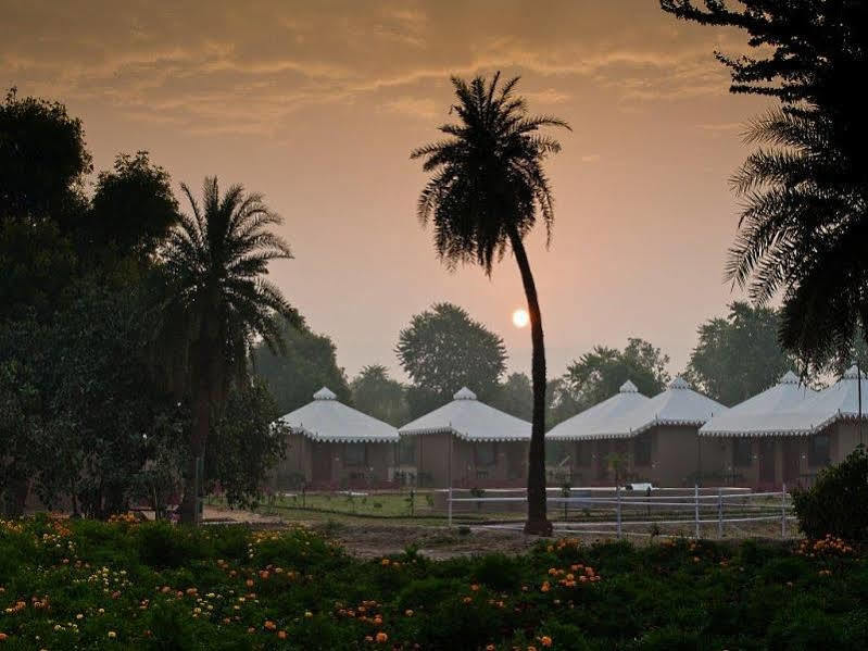 Lohana Village Resort Pushkar Extérieur photo